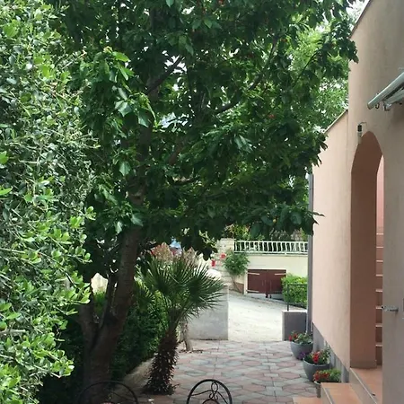 Marr * ماكارسكا